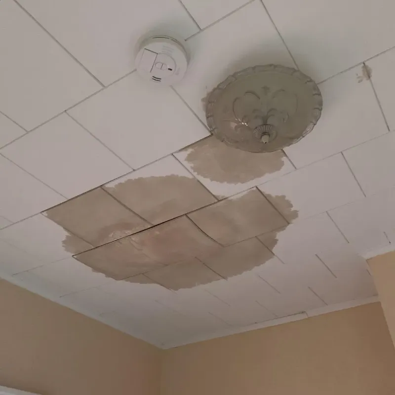 Ceiling Water Damage Repair in Mustang, OK