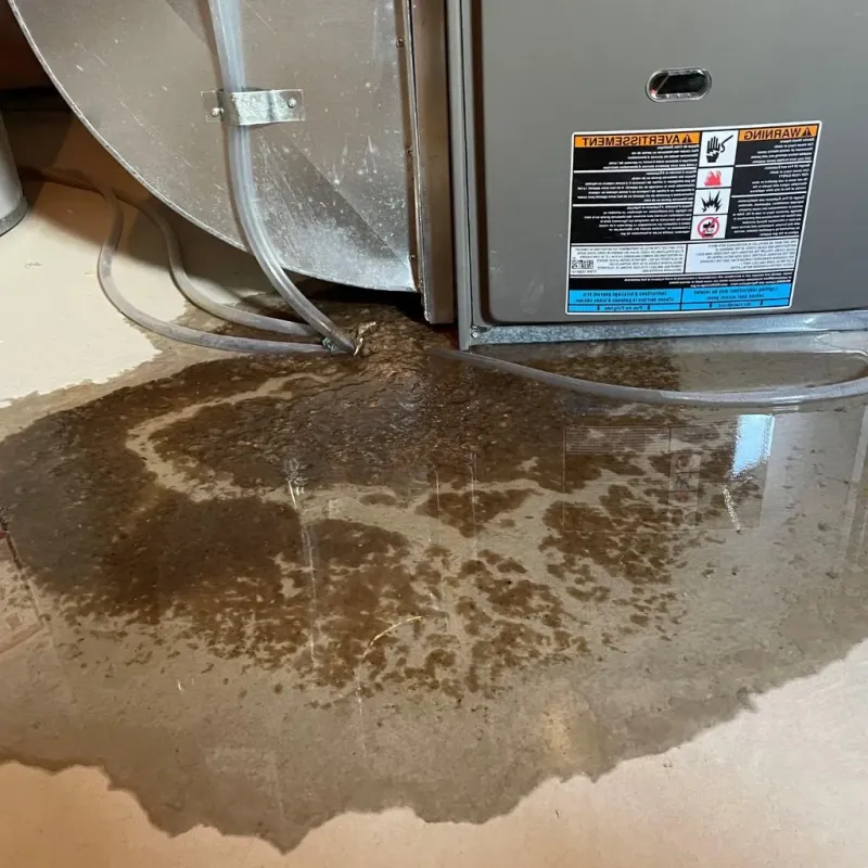 Pipe Burst and Leak Restoration in Mustang, OK