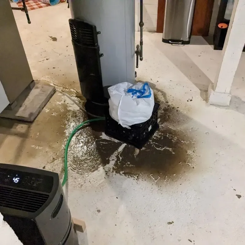 Sewage Backup Cleanup Service in Mustang, OK
